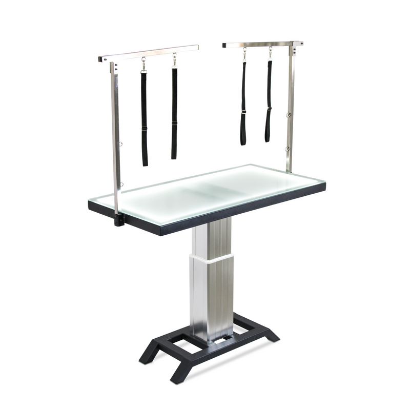 Vetium Medical kolon camlı tıraş masası